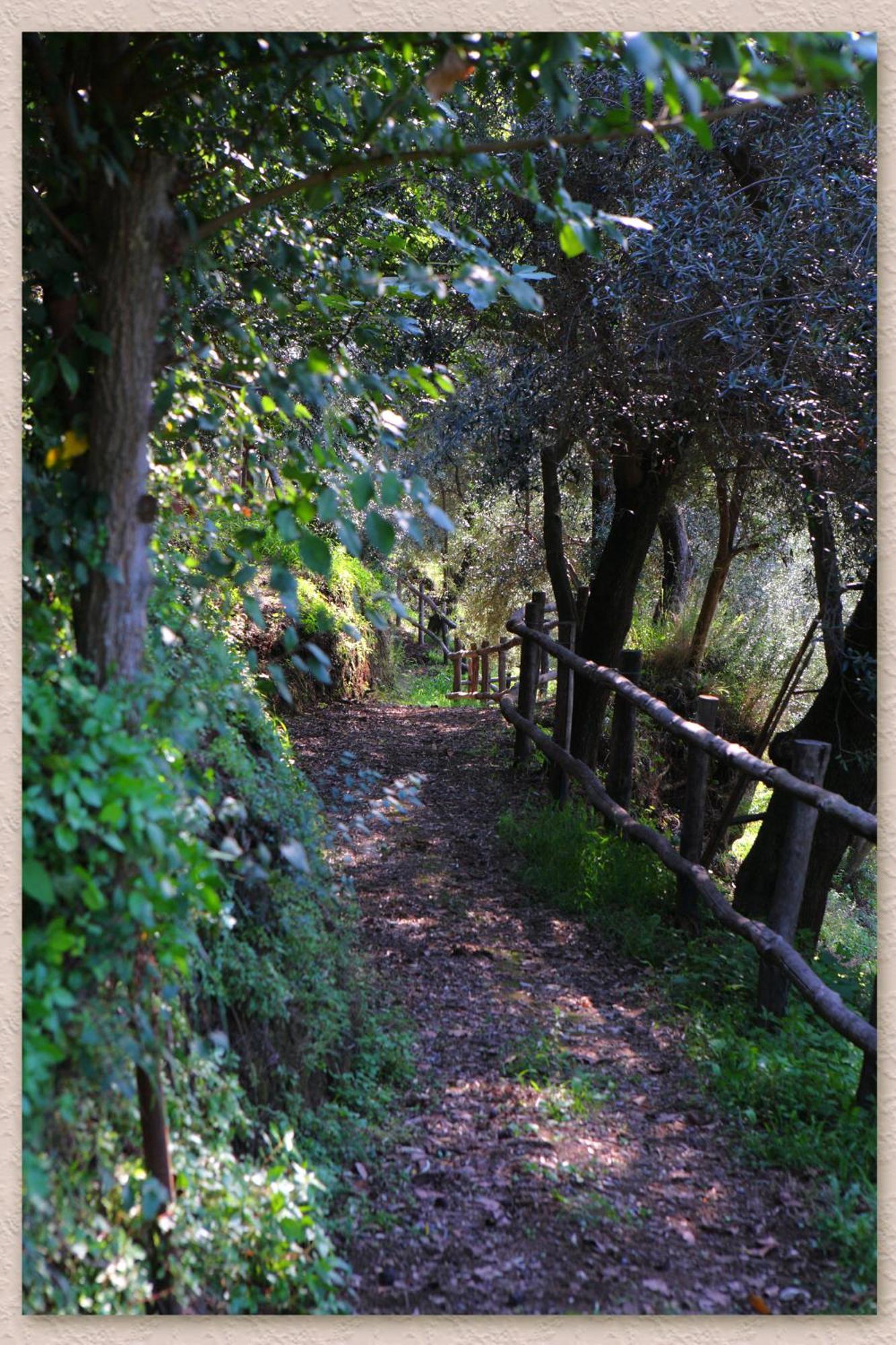 Villa Ketty Resort Vico Equense Dış mekan fotoğraf