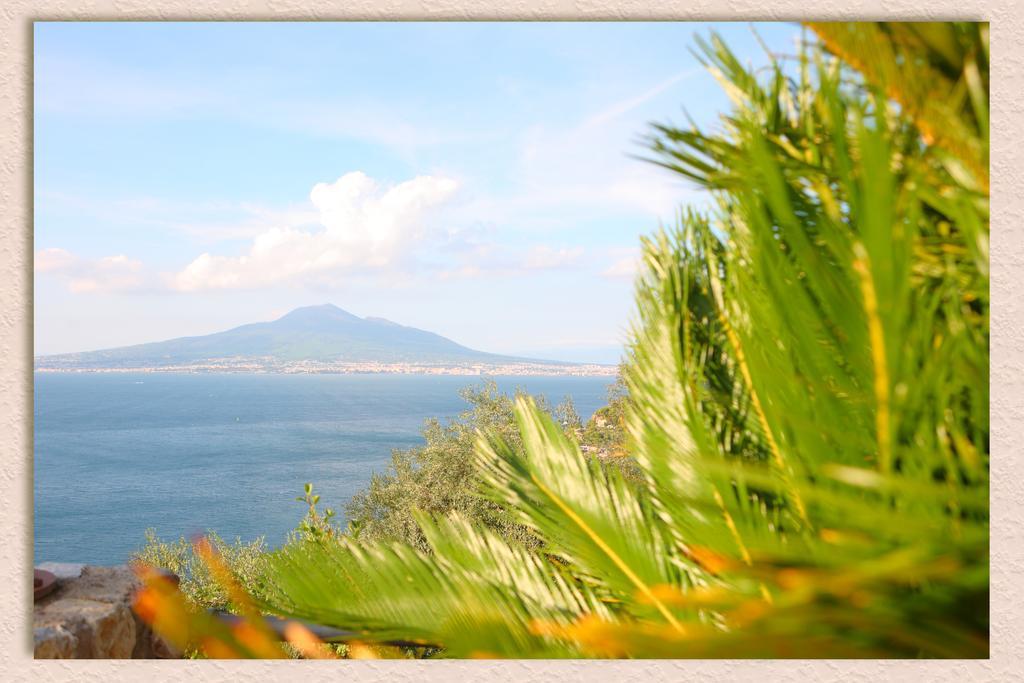 Villa Ketty Resort Vico Equense Dış mekan fotoğraf